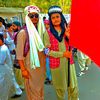 sindh.salamt