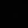araujoborges27