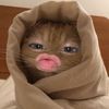_httfia05