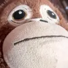 monkeywholivesintree