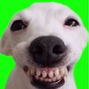user610353381