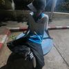 .bamboo_xcqr