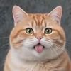 herman.thalib.tha