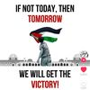 free_free_palestine28
