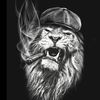 salyan_507