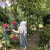 safaaurelia_