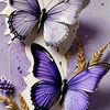 ayda.ahmed242