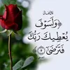 user5790077429973
