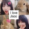jisoo85391