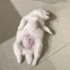 margaisasleep