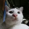 amador_nash