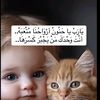 user6660147782504