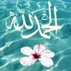 user8591867721129