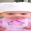 bobik_3842