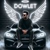 dowlet9618