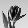 mar.black10