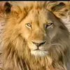 abdelkerim.mbodou