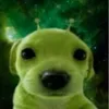 noel_fxd
