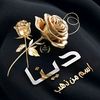 dina.abdo63
