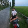bawok_teless