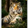 luomo.tigre.pugli