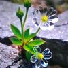 10agustus_2025