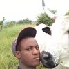user5098201798331