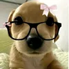 evelynwew1