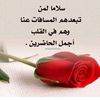 mohamedmohamedm937
