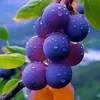 user1213165731903