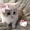 zoe_lucs74562