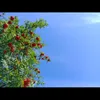 noor.alhariri5