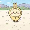 thiaguizo_2027
