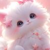 nour62122