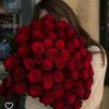 user3968100665156