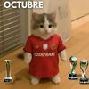 gatitodormilonzzz