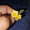 lisseth8644