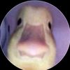 declan283747