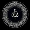 mohamedasal309