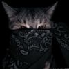 its.me.mostafa001