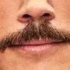 tomsandovalsmustache