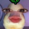 aylaaa2180