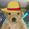 _maifel_2099