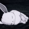 2oi_ww
