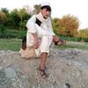 shahb.afrdia
