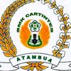 smk.cartintes.ata