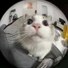 dexgatchie8