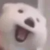 mxyoniss
