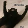tnhtphanduy