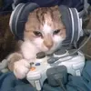 cat_and_prefix